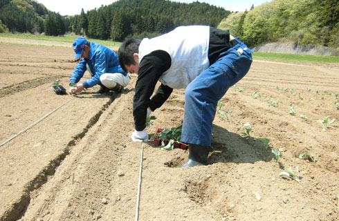 25年5月 那須農作業